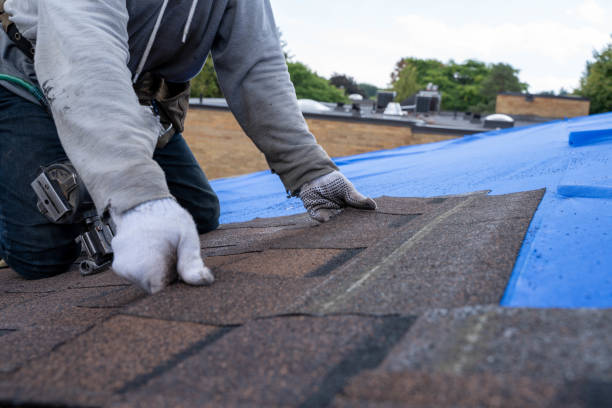 Best Roof Gutter Cleaning  in Mooreville, MS